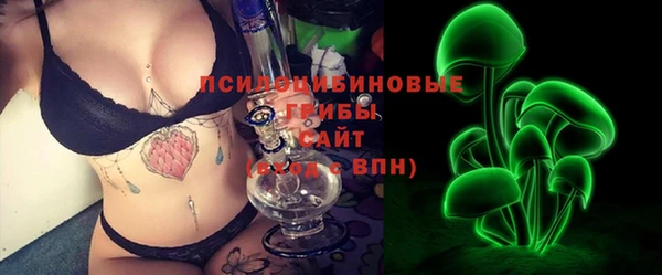 прущие грибы Алексеевка