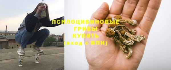 дживик Алзамай