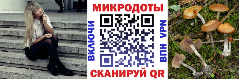 что такое Юрьевец omg tor Псилоцибиновые грибы прущие грибы